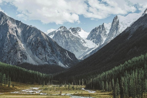 一直被讨论的，蘑菇视频新手最容易忽略的点，真实体验和想象差距有多大难怪会被反复提起