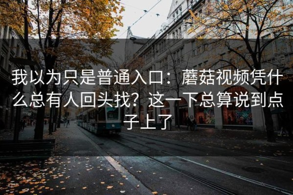 我以为只是普通入口：蘑菇视频凭什么总有人回头找？这一下总算说到点子上了